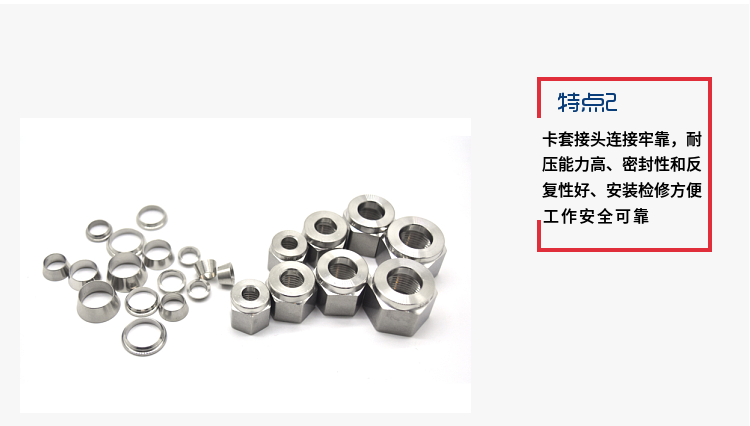 H12H高壓氣體止回閥3.png